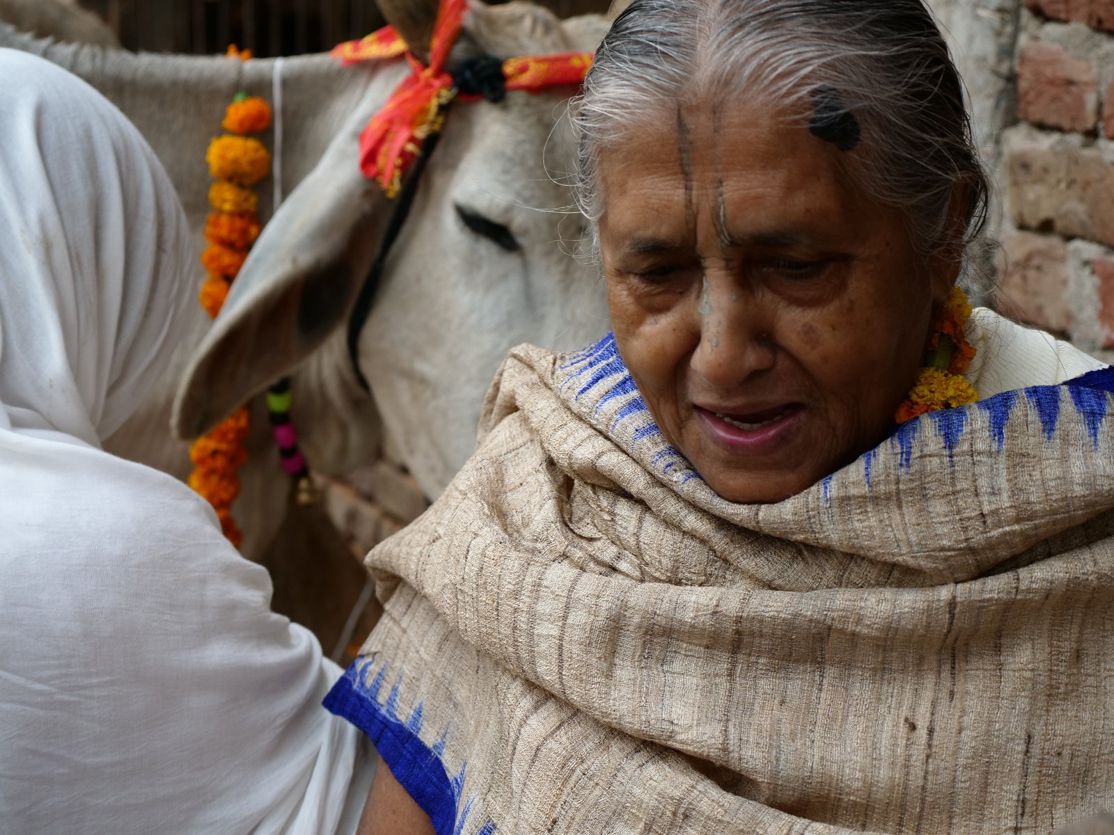  71 Gopashtami Radha kunda Govardhan 19.11.04